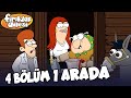 Fırıldak Ailesi 4 Bölüm 1 Arada 41 15 