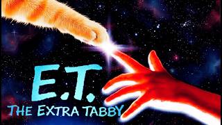 E.t. The Extra Tabby Et The Extra Terrestrial With My Cat Actually Called Eliot