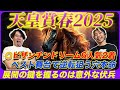 【天皇賞春2025】◎ビザンチンドリーム6人気2着!超絶意外な穴馬を本命抜擢で波乱を狙う