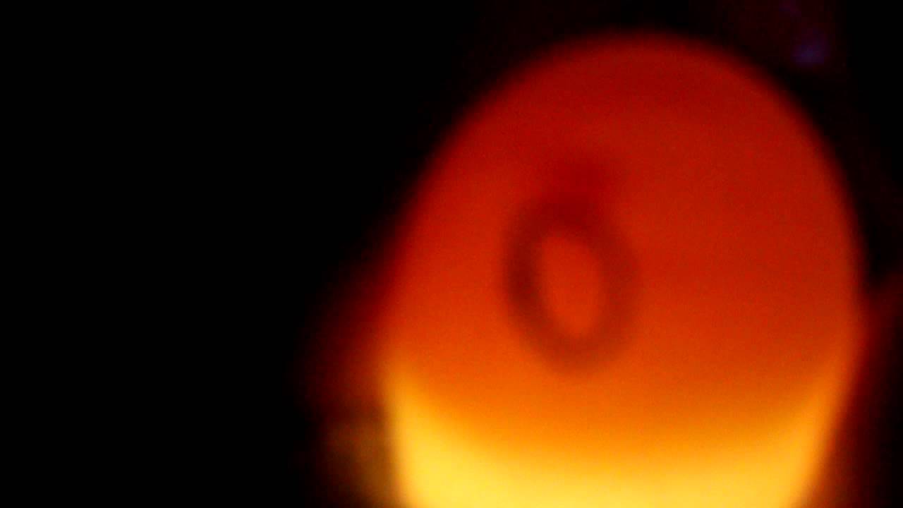 Candling Silkie Chicken Egg Day 4 YouTube