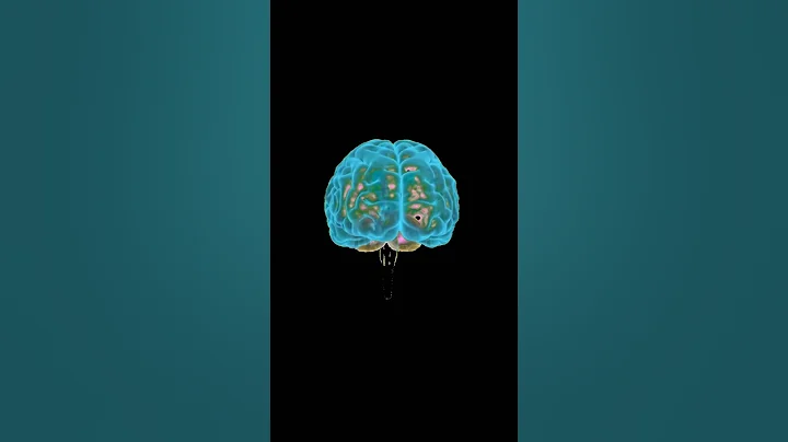 Why do we blink? [Blinking Explained] #shorts #facts #biology