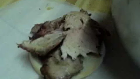 Payne's Barbecue, Memphis Tennessee