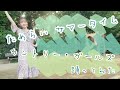 【踊ってみた】ためらい サマータイム/カントリー・ガールズ【よこみー】
