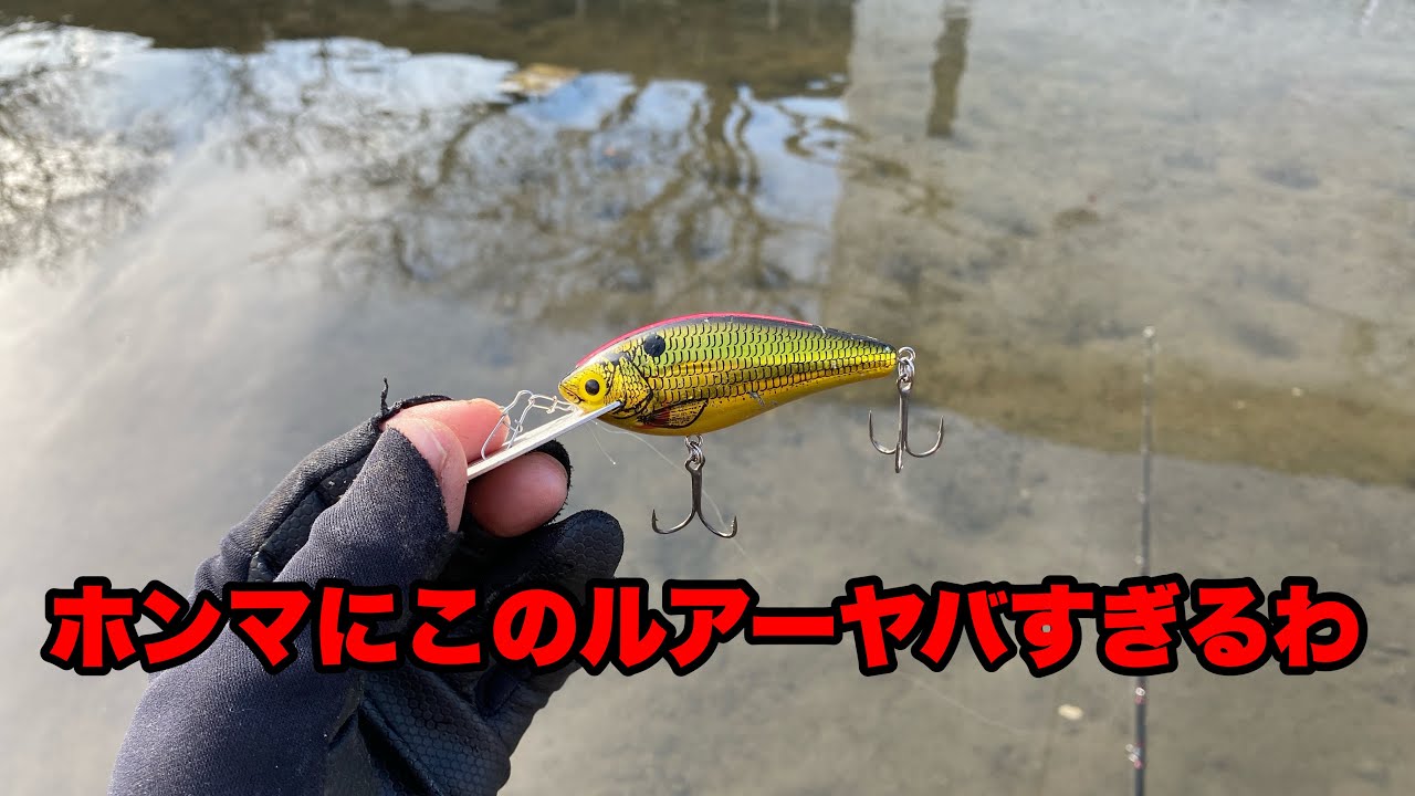 Cranky Darter - YouTube