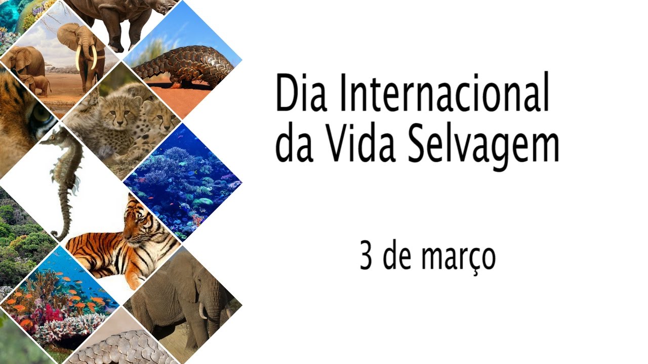 Dia Internacional da Vida Selvagem