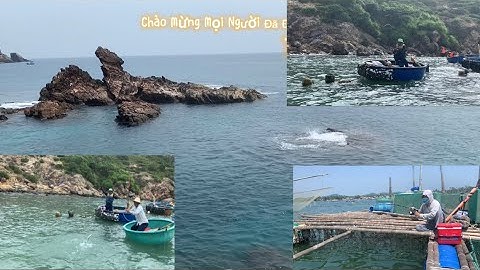 Tổng Hợp Những Pha Bo Cá Mới Nhất, Câu Cá Biển Tự Nhiên, Câu Ghềnh, Câu Thúng. TÝ FISHING.