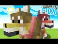 HO PRESO TUTTI i NUOVI TIPI di LUPO - Minecraft ITA SURVIVAL #1026