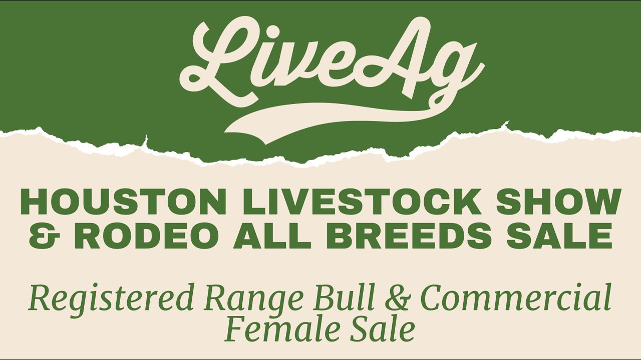 Watch the 2026 Houston Livestock Show & Rodeo All Breeds Sale Bull Sale