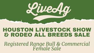 Watch the 2026 Houston Livestock Show & Rodeo All Breeds Sale Bull Sale