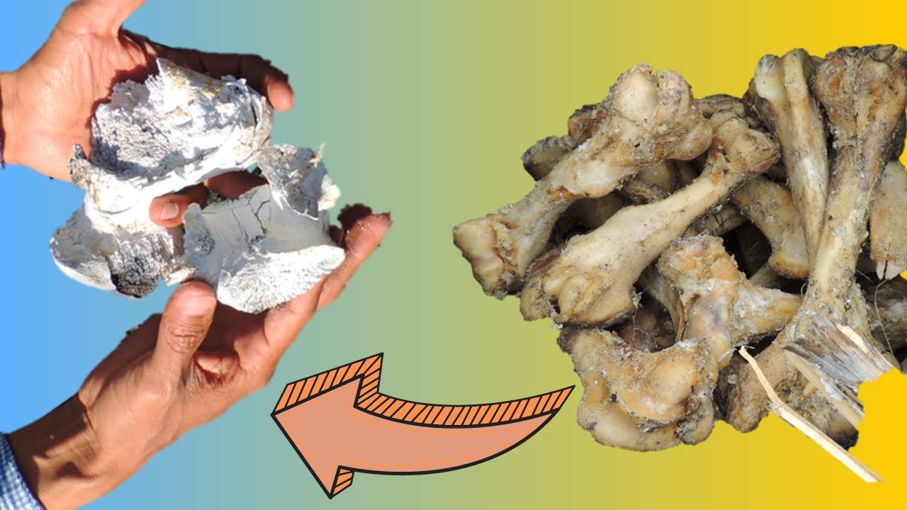 FOSFITOS | BIOFERTILIZANTE | BIOESTIMULANTE