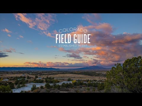 COLORADO ROAD TRIP: Hidden Gems of SW Colorado Mountains & Mesas (Mesa Verde in Cortez & Mancos)