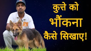 How to teach your dog to bark. Mind blowing tips