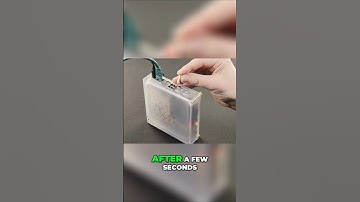 Factory Reset The Home Assistant Yellow, Step by Step Guide!