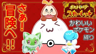 【ポケモンSV】かわいいポケモンを探し求める旅#1【ポケットモンスタースカーレット・バイオレット】【ポケモン】