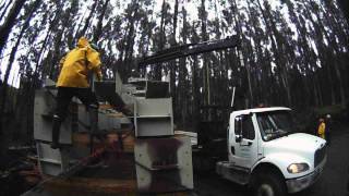 Sur de Chile ,region de los lagos