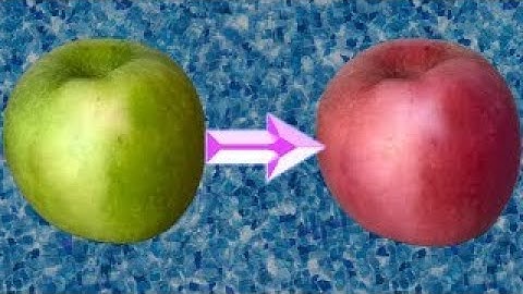 Change a Green apple into Red apple in Photoshop 2021 - Quick Tutorial