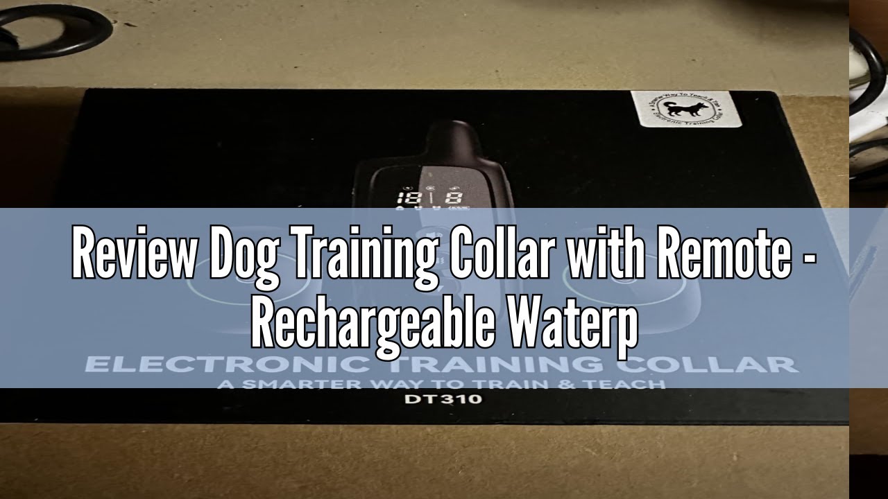 Review Dog Training Collar with Remote - Rechargeable Waterproof E-Collar for Large, Medium and Smal