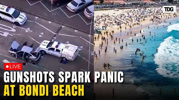 Bondi Beach Shooting LIVE: Eyewitness Video Shows Panic After Gunshots at Bondi Beach
