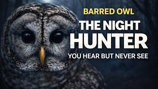 Barred Owl: The Night Hunter You Hear But Never See