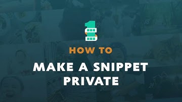 HOW TO MAKE A SNIPPET PRIVATE WITH 1SE | 3.5