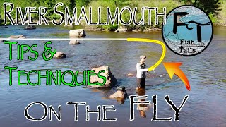 Fly Fish River Smallmouth Bass: Successful fishing tips, techniques, tactics using poppers streamers