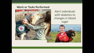 Use of Service Animals by Persons with Disabilities in the National Park System