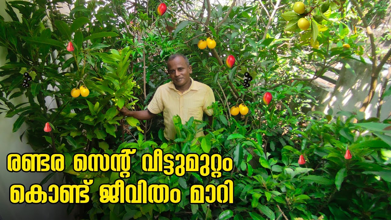 രണ്ടര സെന്റ് വീട്ടുമുറ്റത്ത് അപൂർവമായ 70 ഇനം പഴചെടികൾ😮❤️ | Fruit farming ideas |Come on everybody