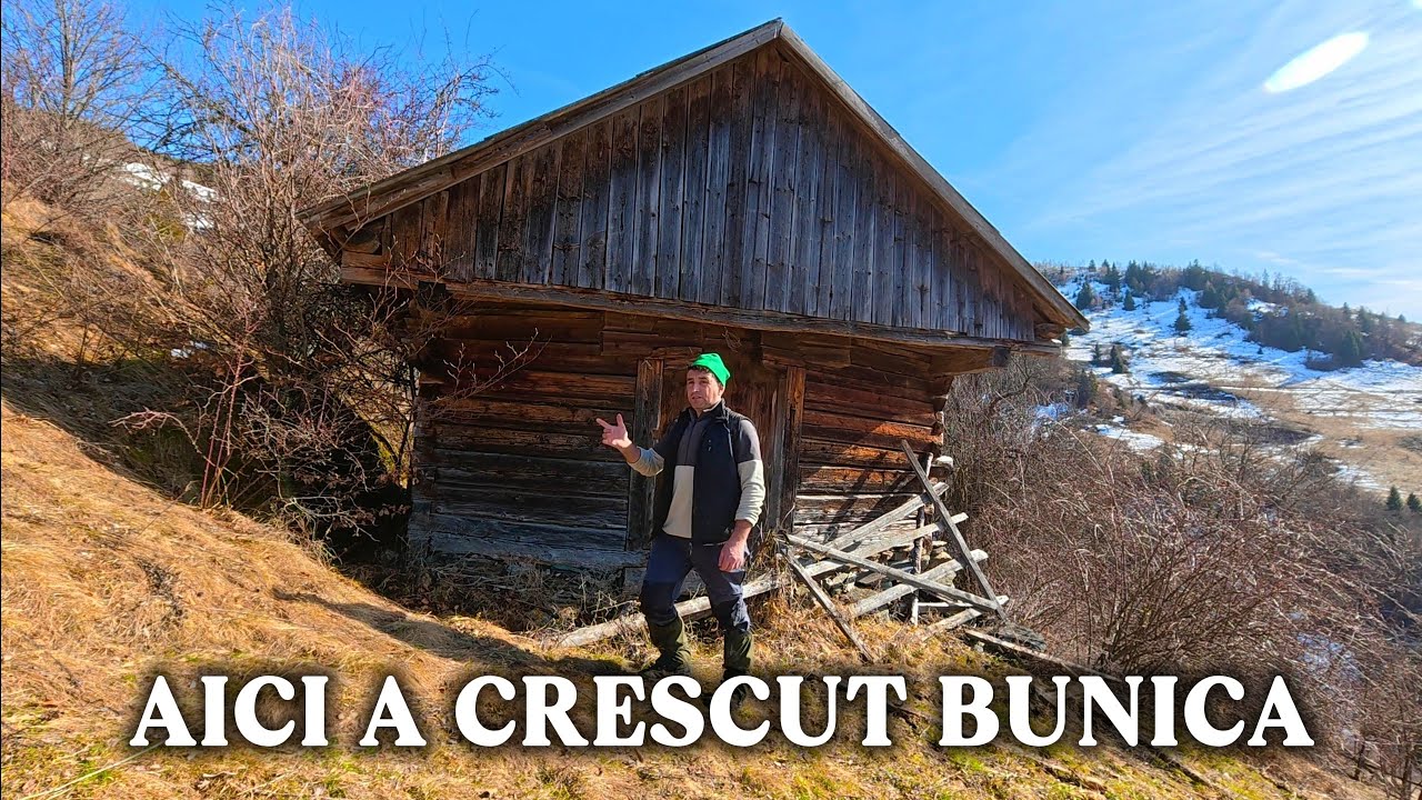 VIAȚĂ AUTENTICĂ LA MUNTE | ȘURILE DIN APUSENI SPUN POVESTEA BUNICILOR | EP.95