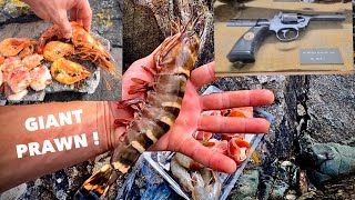 GIANT PRAWN & Scallop COOK on the Beach ! Military Museum & SEAFOOD , Vlog