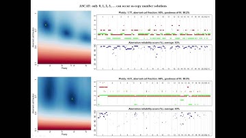 ASCAT Algorithm for Copy Number Analysis of Tumors Using SNP Arrays