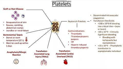 Blood products and Their Uses