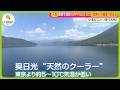 【天然クーラー】東京より約10℃も涼しい「奥日光」を緊急取材!「こたつが欲しくなるほどの涼しさ」【ノンストップ!】