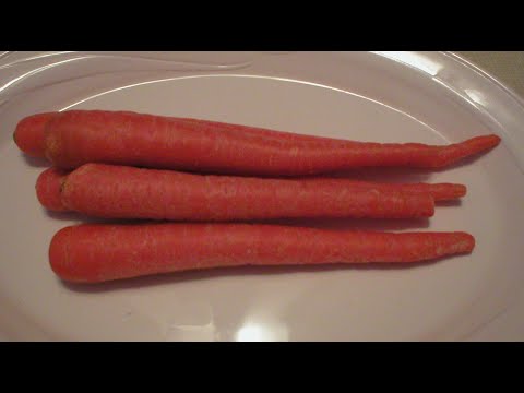 Carrots 101 -