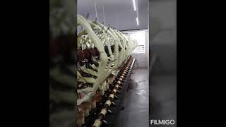 Pure Silk Twisting Factory