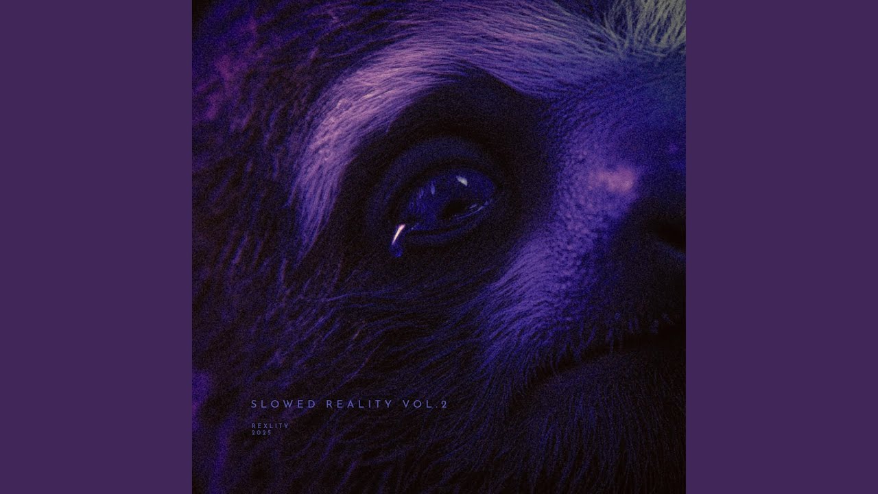 Guarda fractured (slowed + reverb) su YouTube Guarda fractured (slowed + reverb) su YouTube