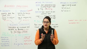 Free Online Topic l Class 7 I Maths I ICSE I Algebric Expressions And Fundamental Operations I L100