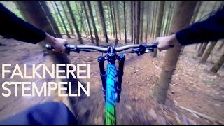 Königstuhl Falknerei Trail - Downhill TOP TO BOTTOM | Heidelberg | Luis Gerstner