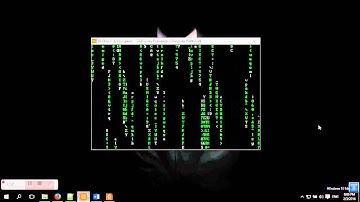 Matrix rain code : Assembly