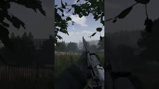 Iron sight Mosin. #dayz #dayzstandalone #dayzgameplay #gaming #shorts #gamer #games #fps #gameplay