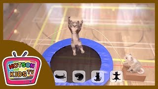 작은 고양이 유치원 어린이용 게임 #6 | 고양이와 줄넘기 놀이 | 한글공부 | 유아교육 | Little Kitten My Favorite Cat - Kids Game by HOTSON KIDS TV핫슨키즈티비 19,585 views 5 years ago 2 minutes, 5 seconds