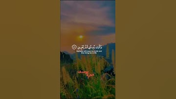 (القارئ حمزة يوسف |( وَإِذَا مَرِضْتُ فَهُوَ يَشْفِينِ