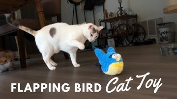 Testing Out a New Interactive Cat Toy! - New Toy Tuesday feat. KreizyGo Flapping Wings Bird