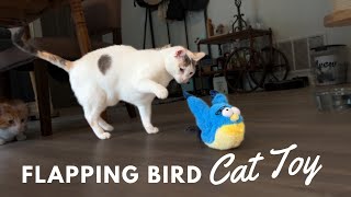 Testing Out a New Interactive Cat Toy! - New Toy Tuesday feat. KreizyGo Flapping Wings Bird by IndoorOutdoorKat 942 views 11 months ago 5 minutes, 6 seconds