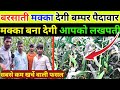 बरसाती मक्का की बम्पर पैदवार कैसे लें?#makkakikheti #maakakipaidawar #मक्का
