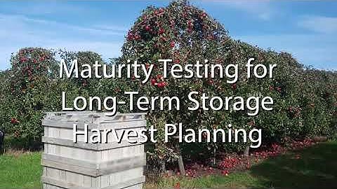 Maturity Testing for Long-Term Storage Harvest Planning