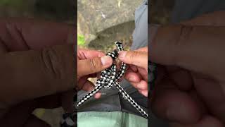 Incredible Quick Rope Belt Knot！#camping #bushcraft #survival