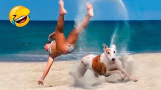 FUNNY ANIMALS VIDEOS Best Funny Dogs And Cats Videos 2024 #Cutepets54