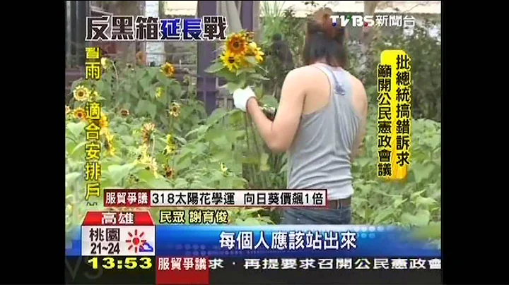 揪甘心！花農挺學運　提供太陽花免費採 - 天天要聞