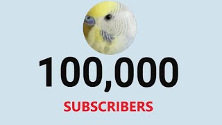 We Hit 100,000 Subscribers