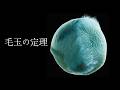 毛玉の定理【トポロジー】
